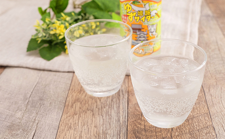 姫路ゆずサイダ—　250ml×24本 飲料類 炭酸飲料 サイダー 