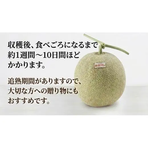 メロン ＜数量限定＞ おいわけメロン 糖度16度以上 大箱約8kg(4～6玉) 赤肉 北海道 安平町産 【1226767】