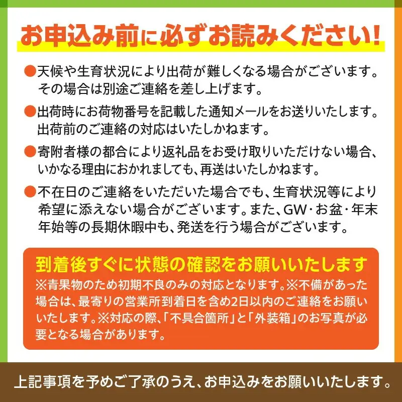 太陽のタマゴ マンゴー 太陽のタマゴ[宮崎 1玉 約350g以上]
