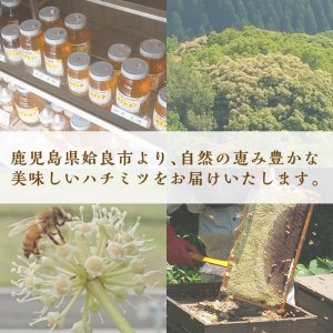 a686 国産！純粋はちみつ(600g)【神谷養蜂】