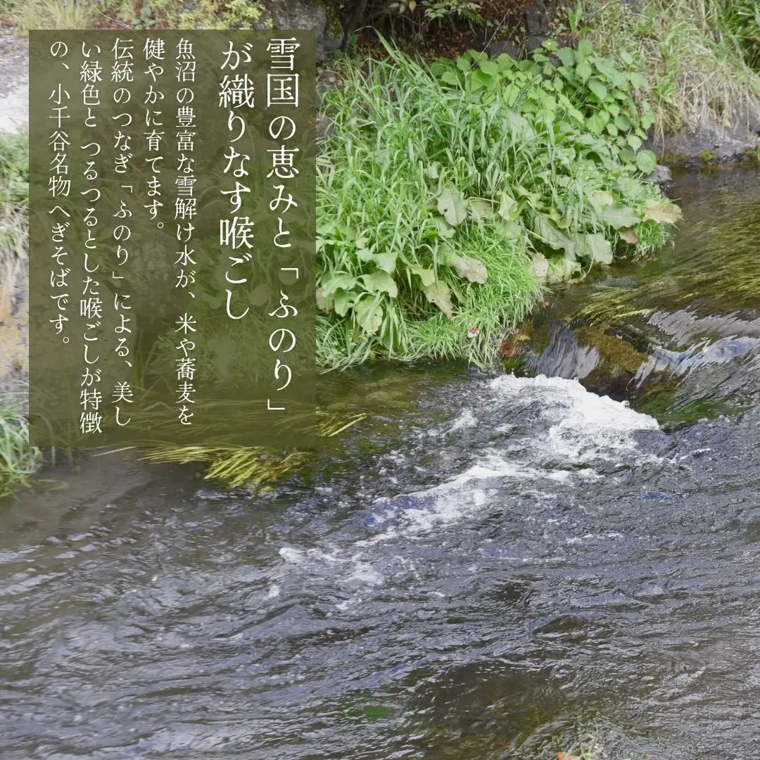 蕎麦 5束 化粧箱(つゆ付) たかの 蕎麦