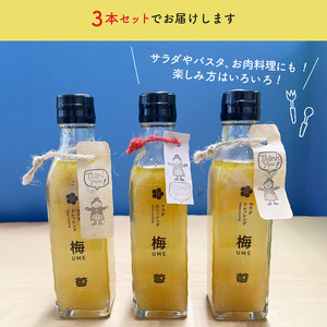 無添加手作り 梅サラダドレッシング（200ml×3本） _K02402
