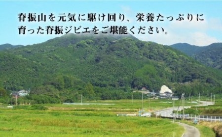 【6回定期便】脊振ジビエ イノシシ肉人気部位 総量4.8kg 鍋 しゃぶしゃぶ 焼肉[FAL060]