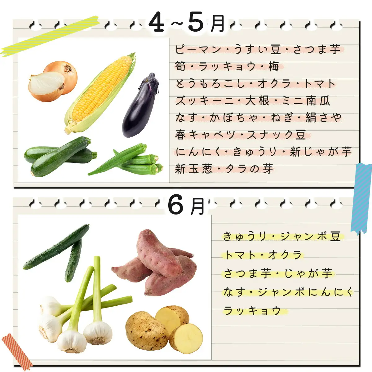 お味噌・野菜セット 野菜8種/みそ詰め合わせ
