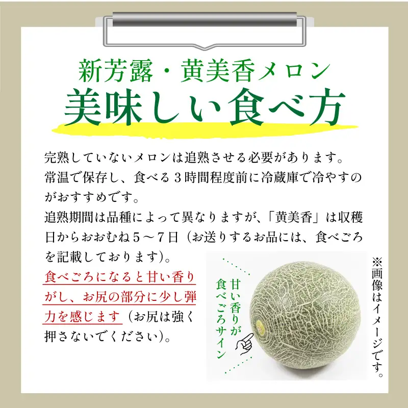 メロン／果物【先行予約／数量限定30】プレミアムメロン（新芳露・黄美香）セット（2026年7月下旬～発送）※マスクメロン（アールスメロン）系　フルーツ・メロン２玉・果物・メロンセット・ブランドメロン・メロン 