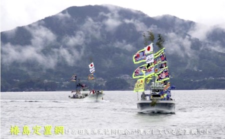広田湾「椿島定置網サバ水煮」缶詰（3缶セット）RT1465