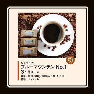 毎月届く ブルーマウンテン300g・粉コース！3ヶ月コース(100g×3) 〔Ec103-P〕