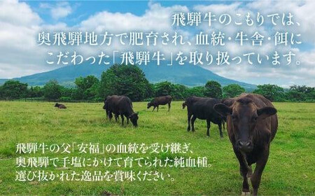 飛騨牛 赤身 霜降り ブロック肉 1kg | 真空パック ステーキ ブロック肉  FC012VC13
