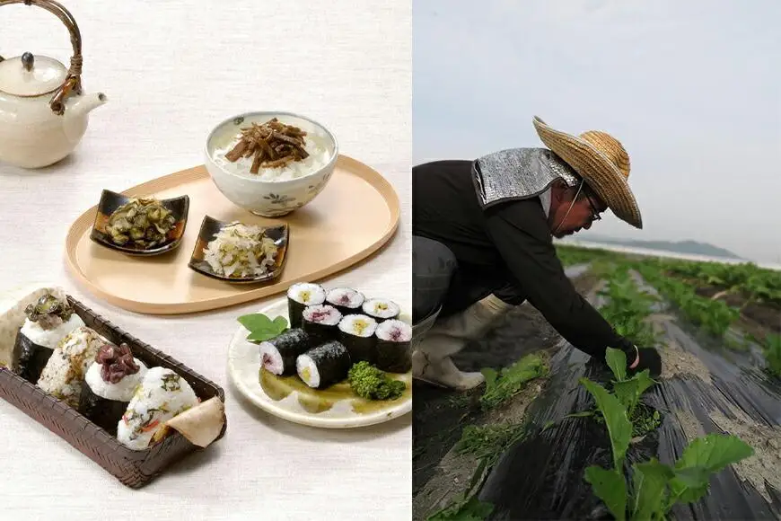 【京つけものもり】京漬物詰合せ7品｜京都 漬物 野菜 人気［ 京都 漬物 つけもの 漬け物 野菜 京野菜 セット 人気 おすすめ お取り寄せ 通販 送料無料 ふるさと納税 ］