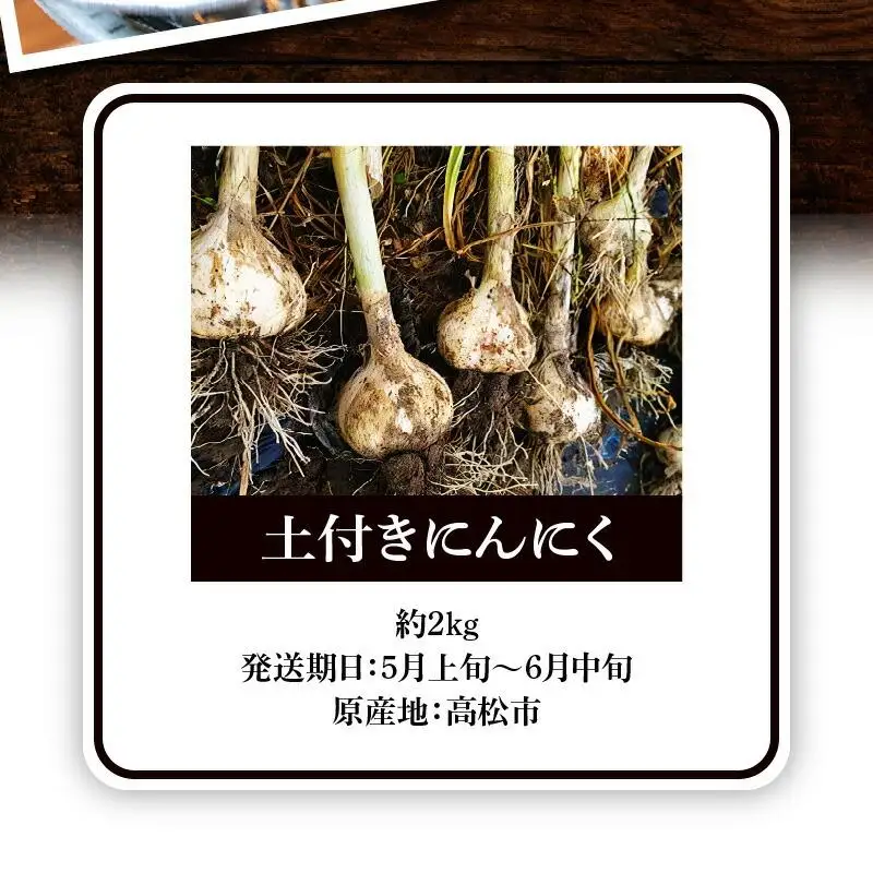 土付きにんにく 約2kg【2026年5月上旬～2026年6月中旬配送】| にんにく