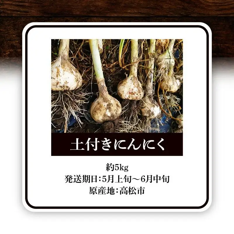 土付きにんにく 約5kg【2026-5月上旬～2026-6月中旬配送】| にんにく