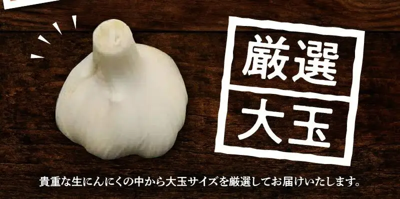 厳選大玉 生にんにく 約2.5kg【2026-5月上旬～2026-6月上旬配送】 | にんにく