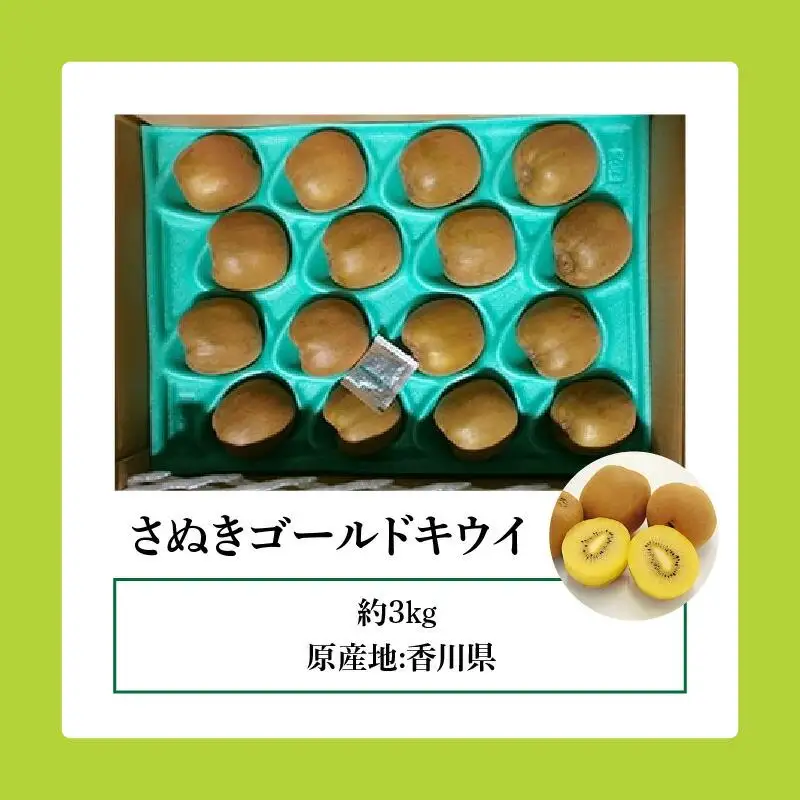 さぬきゴールドキウイ　約3kg【2026年10月中旬～2027年1月下旬配送】