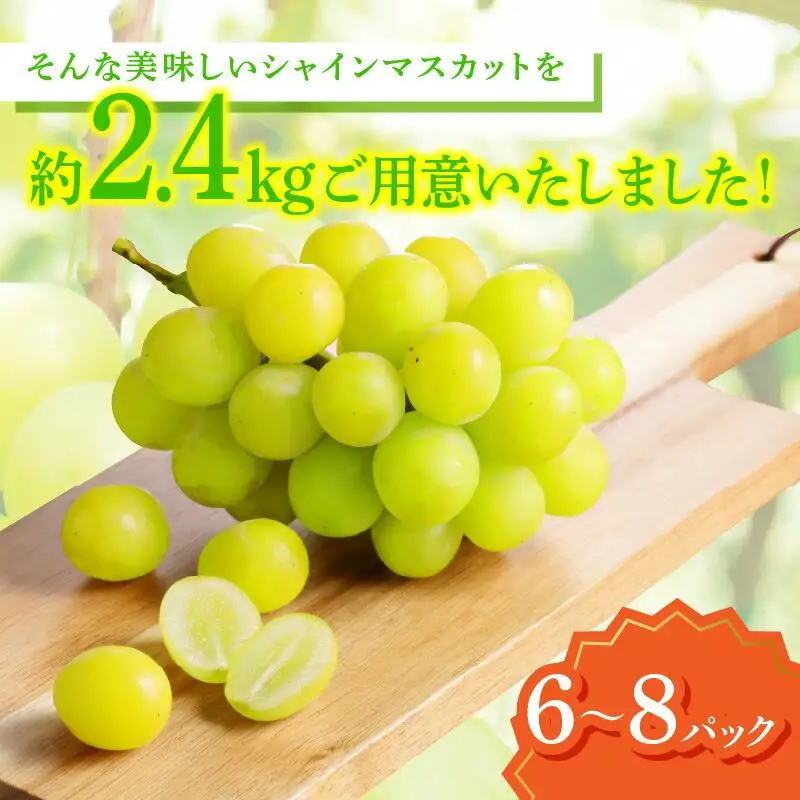 ご家庭用 シャインマスカット パック 約2.4kg【2026-8月中旬～2026-9月下旬配送】