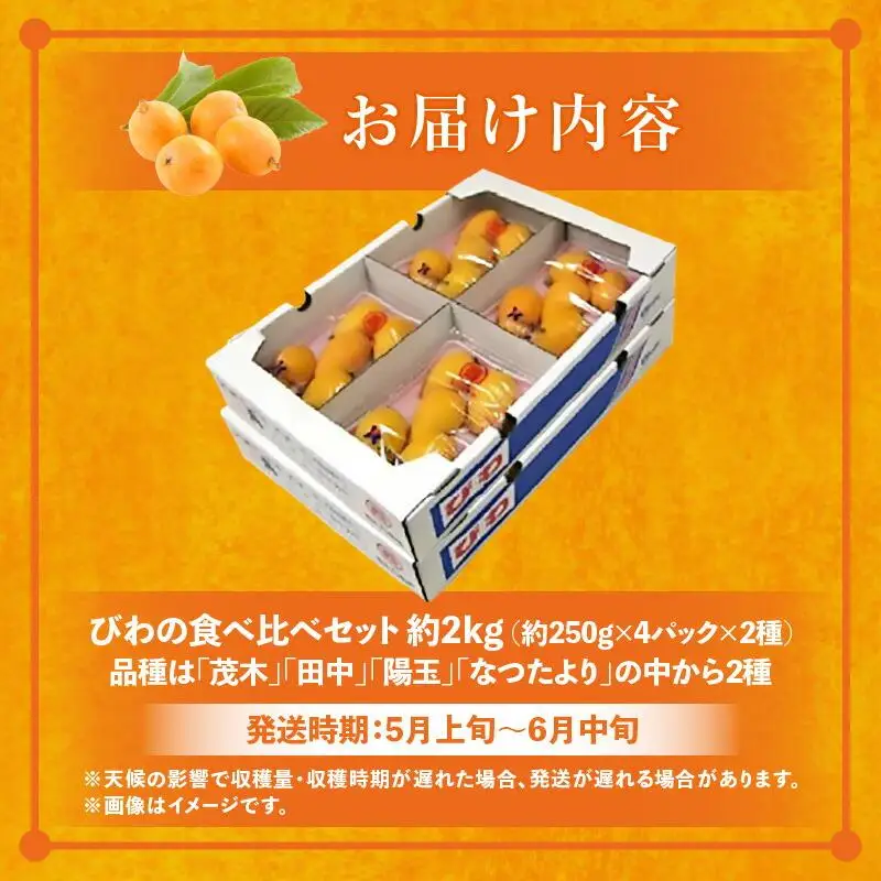 びわの食べ比べセット 約2kg【2026年5月上旬～2026年6月中旬配送】| びわ