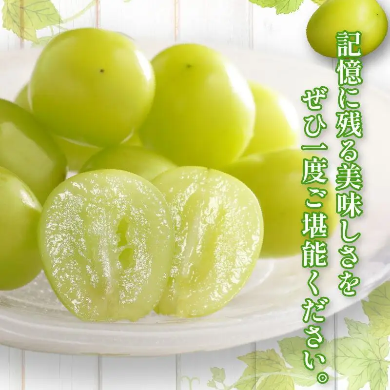 高級  シャインマスカット 約5kg【2026-7月下旬～2026-8月下旬配送】