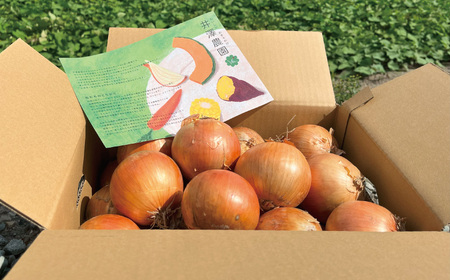 【10月発送】サラダにもOK！特別栽培玉ねぎ10kg