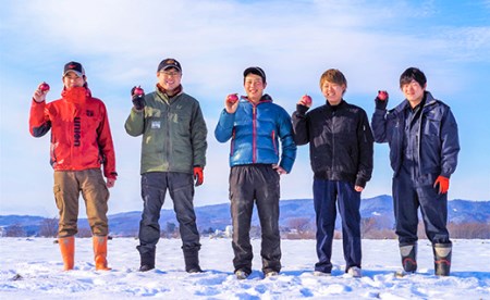 くりやま健康タマネギ「さらさらレッド」20kg