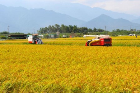 【北アルプス清流そだち】米 令和7年 長野県産 コシヒカリ10kg [大北農業協同組合 長野県 池田町 48110828]