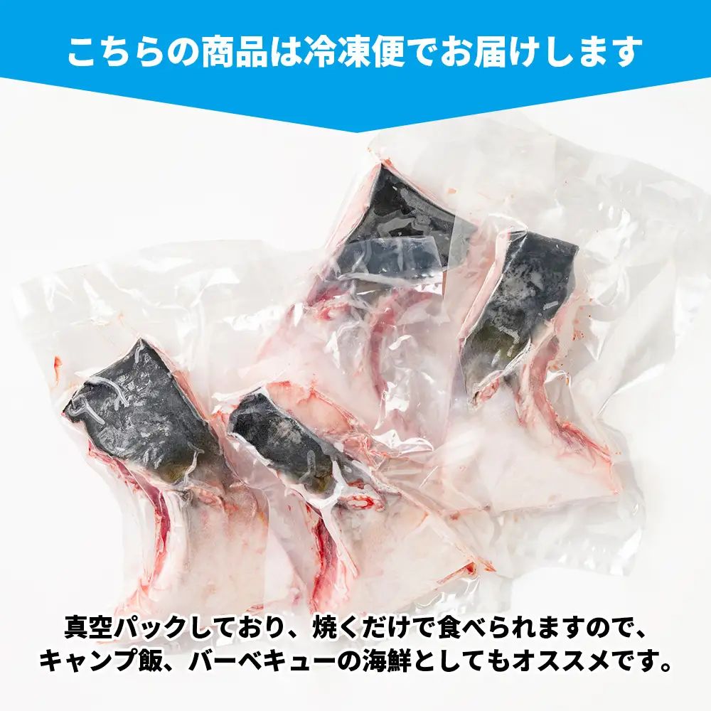 ブリカマ 1kg 伊勢志摩産 城水産 