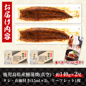 i505 鹿児島県産うなぎ蒲焼2尾セット(約140g×2・計約280g) うなぎ 鰻 ウナギ 2尾 蒲焼き 国産 鹿児島県産 焼きたて 生産量日本一 真空パック おかず 晩御飯 特別な日 土用の丑の日【薩摩川内鰻】