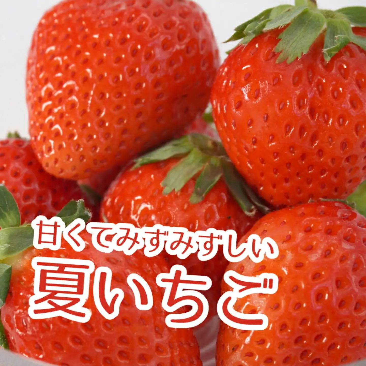 【2026年先行予約】山梨の夏秋いちご　ご家庭用 200ｇ× 4パック