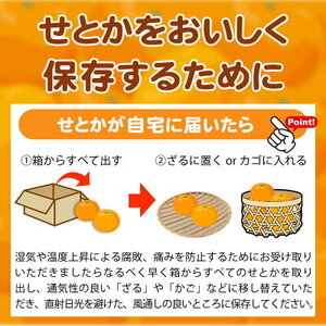 G7353_【2027年先行予約】とろける食感！ジューシー柑橘 せとか 3kg