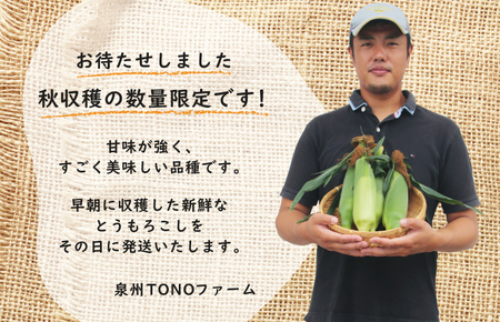 【先行予約】秋収穫！ゴールドラッシュ 7本セット とうもろこし 