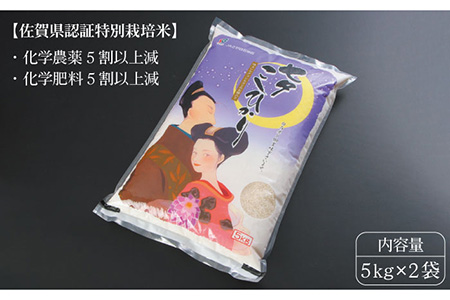 期間限定！令和4年産 新米 七夕こしひかり 10kg（5kg×2袋） / お米 [IAK013]