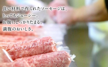 ビアソーセージ 2個 スモークチーズ 2個 おつまみセット 燻製 ギフト キャンプ BBQ 国産