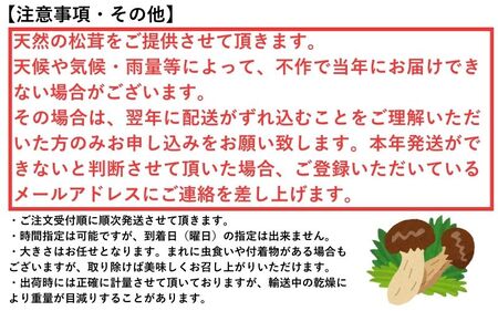  松茸 国産「高野松茸」約200g【化粧箱入】2026年発送【S021-mtgn012】