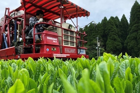 お茶の芳香園 岳みどり華 5本入ギフトBOX【1185939】