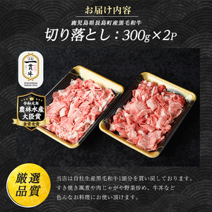 鹿児島県長島町産 黒毛和牛切り落とし (計600g・300g×2P) 牛肉 切り落とし 小分け 黒毛和牛 鹿児島 和牛 切り落とし 牛切り落とし 【宮路ファーム】f-miyaji-7026