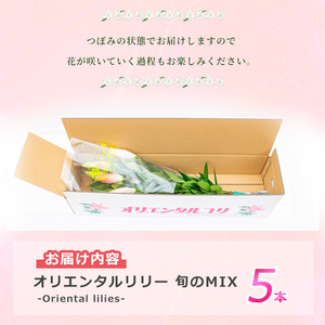 オリエンタルリリー（ユリ）旬のミックス 5本 ユリ 花 ユリの花 百合 ゆり 生花 切花 切り花 【宮路園芸】miyaji-7004