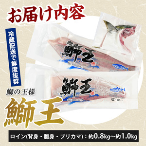 切って盛るだけ「鰤王」 ロイン (約0.8kg～1.0kg・2節) ブリ 鰤 【JFA】jfa-7132R8