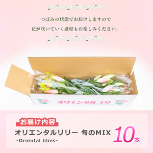 オリエンタルリリー（ユリ）旬のミックス 10本 ユリ 花 ユリの花 百合 ゆり 生花 切花 切り花 【宮路園芸】miyaji-7005