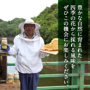 国産 はちみつ (600g) ハチミツ 蜂蜜 ロイヤルゼリー 調味料 スイーツ 多賀さん採蜜 大分県 佐伯市【AY66】【(公財)さいき農林公社】
