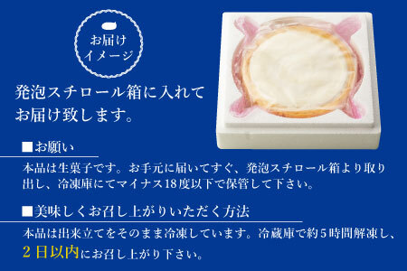 さくさくクッキー生地で大人気！濃厚だけどさっぱり ヨーグルトフロマージュタルト 5号サイズ (約15cm) 