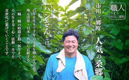 ハンさんのおいしいくわ茶10包3種×2袋セット [5839-1201]