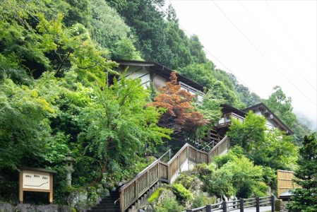 中津渓谷 ゆの森 本館和室 ペア１泊２食付き宿泊プラン