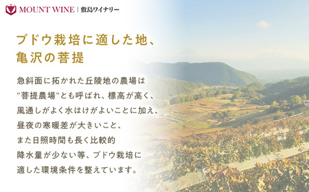 ワイナリーがつくった本格ぶどうジュース 1800ml 一升瓶 敷島醸造 ぶどう ジュース ぶどうジュース 葡萄 グレープジュース 無添加 本格 ワイナリー 赤 山梨 甲斐市 F-21