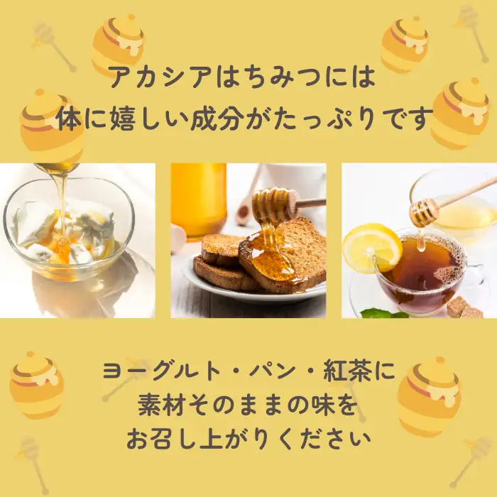 信州特産！！「国産純粋　天然はちみつ　アカシア」 2個入り［YY-101］