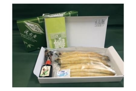 【お値打ち】三河一色産こだわりの手焼き白焼うなぎ（3～5尾冷凍）・H024-25