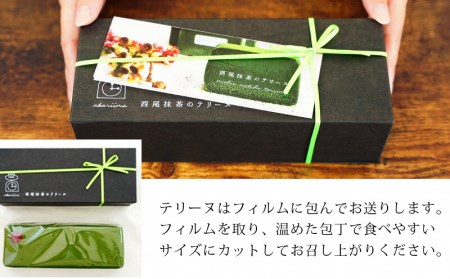 西尾抹茶のテリーヌ　濃厚抹茶スイーツ　テリーヌショコラ(500g)・A165-13-1