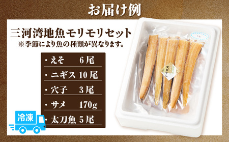 三河湾地魚モリモリセット・T020-13