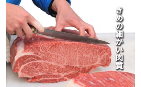 プレミアム熊野牛 焼肉 ４８０ｇ【kbs005】