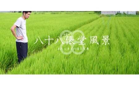 【令和7年産】岡山倉敷市産 特別栽培米 きぬむすめ 10kg【お米 米 きぬむすめ 国産 岡山県 倉敷市 人気 おすすめ】