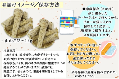 3165. 天然 山わさび 1kg前後 産地直送 薬味 肉 BBQ バーベキュー 焼き肉 送料無料 北海道 弟子屈町