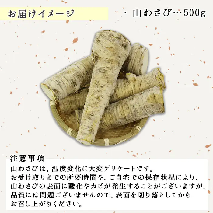 天然 山わさび 500g前後 産地直送 薬味 肉 BBQ バーベキュー 焼き肉  山わさび わさび 天然 山葵  北海道 3166