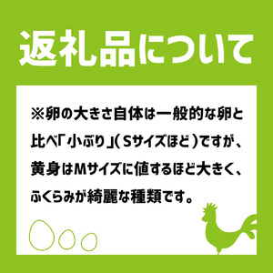【ふるさと納税】土佐ジローの卵 定期便（12個入り×6回）もみ殻梱包 【J00024】
